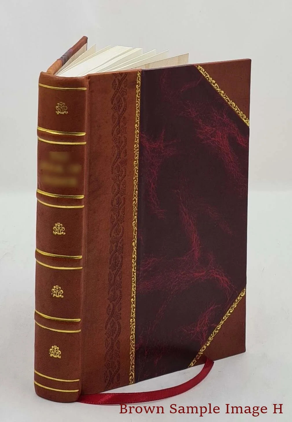 Sport & adventure in Africa, a record of twelve years big game hunting, campaigning & travel in the wilds of tropical Africa, by Captain W. T. Shorthose ... 1923 [Leather Bound]