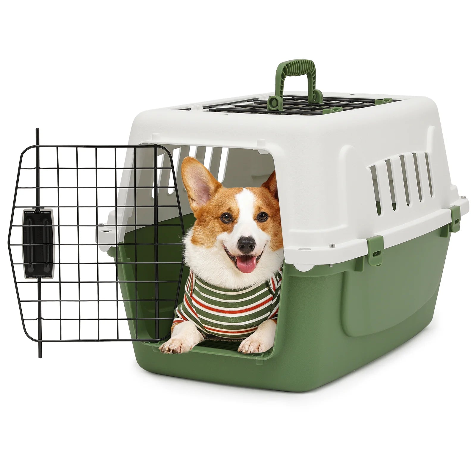 Magshion Two-Door Small Medium Dog Kennel & Cat Kennel, 22'' Length, Hard-Sided Pet Carrier (White & Forest Green)