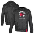 Men's ProSphere Black Lake Michigan College Red Hawks Volleyball Name Drop Pullover Hoodie